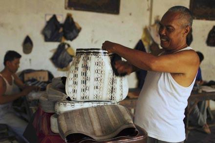 Moda u�runa can veren hayvanlar