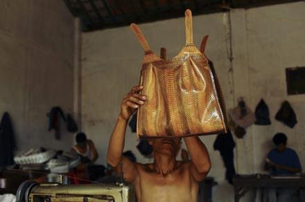 Moda u�runa can veren hayvanlar