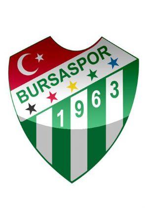 Bursaspor'un simgesi timsah da ynetici Lemi Keskin'in izledii belgeselden hayat buluyor. Belgeselde timsahn boay paraladn gren Keskin'in nerisiyle Bursaspor, yllardr timsah sembol olarak kullanyor. Aknspor, Acar dman Yurdu, Demirelikspor, stiklalspor ve Pnarspor takmlar birleerek Bursaspor'u oluturdular. Kulp, renklerini Uluda'n karndan ve ovann yeilinden ald. Bursaspor'un amblemindeki 5 yldz, kurucu takmlar temsil ediyor.