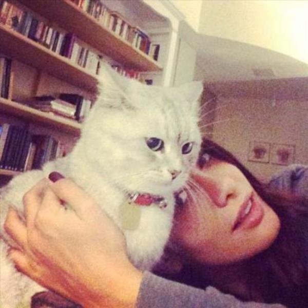 GAMZE KARAMAN Kendisi dnyann en asil kedisi olur