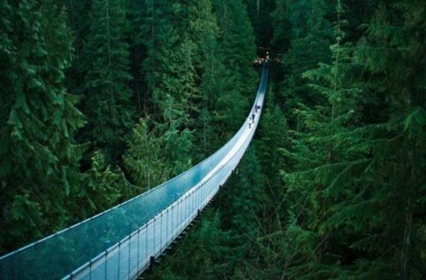 Capilano Asma Kprs, Kanada