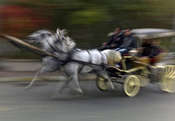 Faytonla gezintiye kn