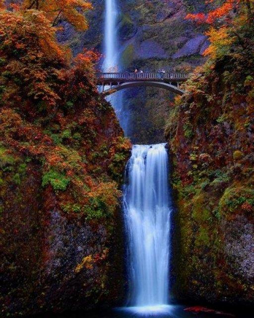 Multnomah elalesi, Oregon, ABD