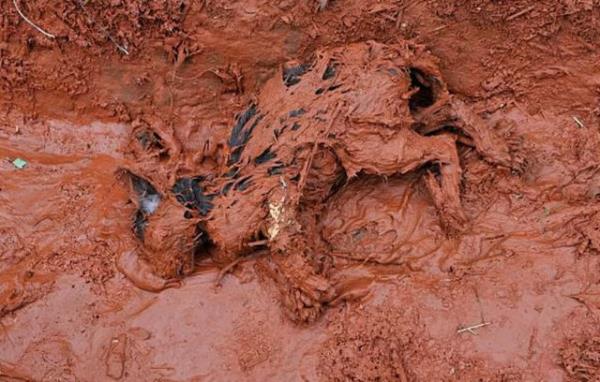 <p>2010 Macaristan Facias </p>  Macaristan 10 l 2010 ylnda bir alimnyum fabrikasnda meydana gelen patlama ile zehirli atklar evreye salm, nsanlar ve hayvanlar asitli atk yznden yanmt