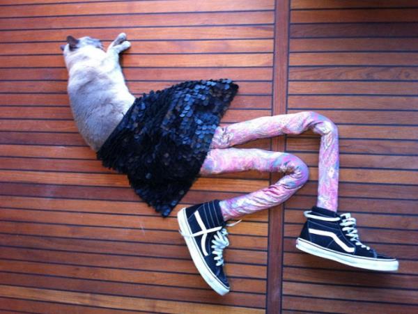 Sahipleri, yaratclklarn kullanarak sevimli dostlarna tasarladklar taytlar giydirerek fotoraflarn ektiler. te tayt giyen kedilerin birbirinden sevimli halleri...