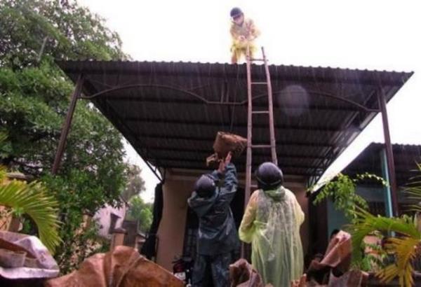 Filipinler'i saatte 380 km hzla vuran Haiyan tayfununda l says 12 bine ulat. Sadece tek kentteki l says 10 bin. Sokaklar yzen cesetlerle dolu. 4 adadan ise hala haber alnamyor.