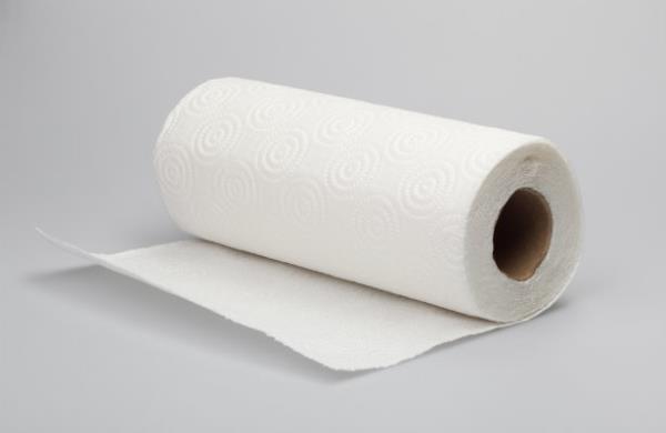 Kt havlu elinizi daha hzl kurulayarak bakterilerin remesini engeller