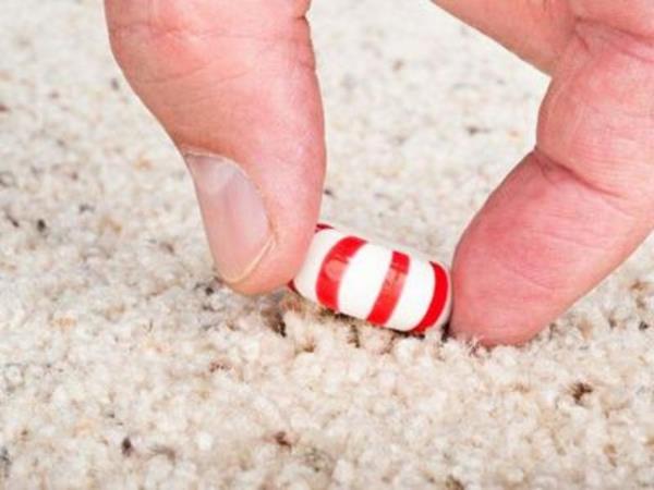 Bakterilerin bulama hz yerin slaklna ve yumuaklna gre de deiir. Islak bir halya den yiyecek en ktsdr!