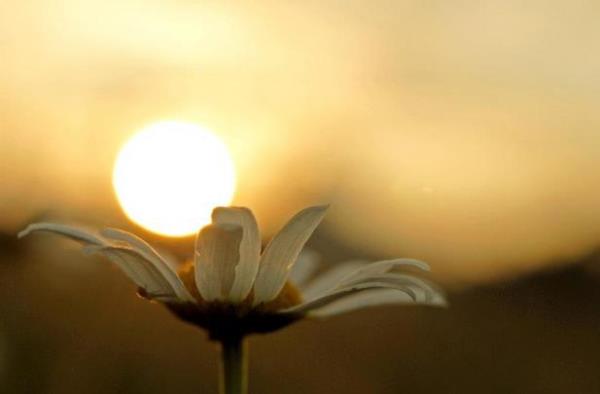 Hz. Yunus, baln karnndan kurtuldu.