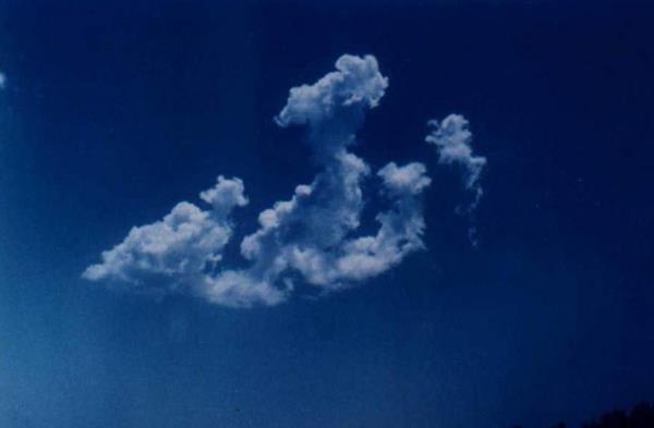 Aure gnnde bir dnem iiler arasnda yas, Emeviler arasnda zafer ilan edilirken daha sonraki dnemlerde bu ikilik, Mslman toplumunun genelinde doru karlanmad iin son buluyor.