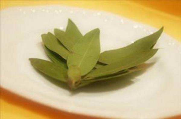 Yapraklarn dkmeyen ve siyah kabuklu aa olan defne lkemizde genel olarak Ege, Akdeniz, Karadenizde yetiir. Yapra ve meyvesinin ya ihra edilir.