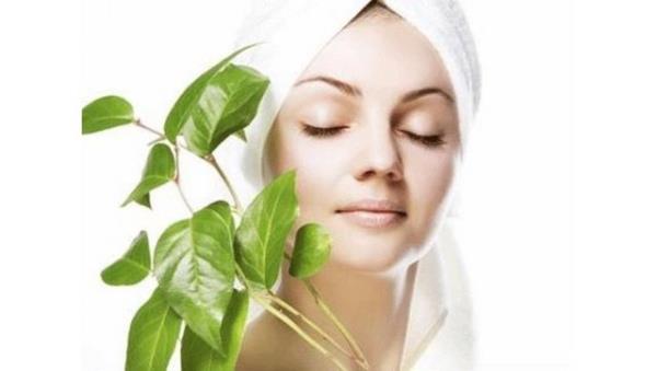 Defne yal sabun cilt gzellii iin kullanlr. Defne sabunu derideki gzenekleri ap rahatlatr. Kuru cildi nemlendirir.