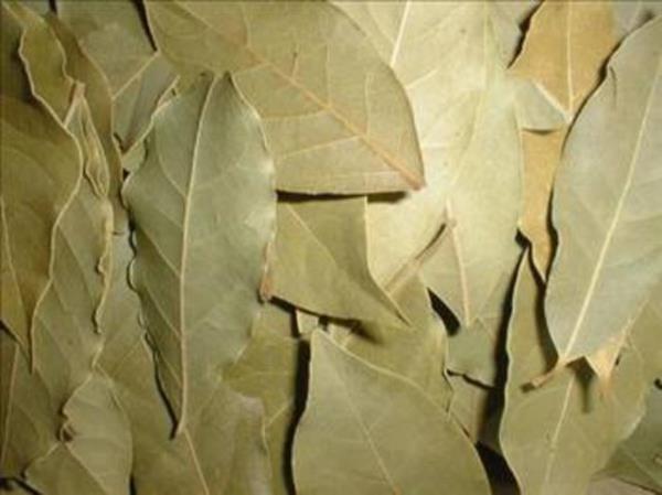 Defne bitkisinin tbbi ve kozmetik amal olarak kullanlan blm yaprak ve yaprandan elde edilen uucu esansiyel yadr. Defne meyvelerinden elde edilen defne ya antiseptik zellie sahiptir.