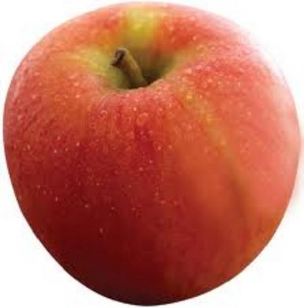 Vitamini kabuunda onun