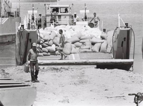 Mehmetik Kbrs Harekat iin tm gleriyle seferber edilmiti..