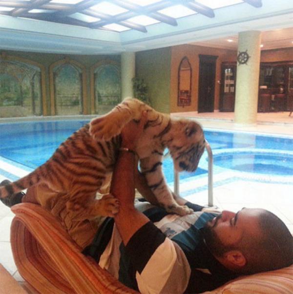 te paylatklar fotoraflarda son model arabalar, lks evler ve aslanlarn bulunduu Arap zenginler...