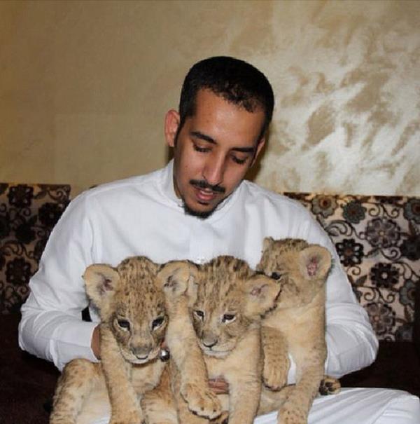 Bu yeni moda, baz Instagram kullanclarnn fotoraflarnda kendini gsteriyor