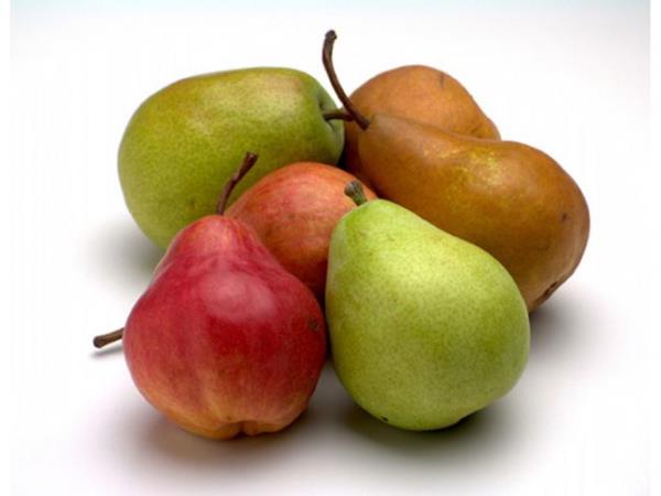 <b>ARMUT:</b>  Orta b�y�kl�kteki 1 armut sizi tok tutmaya yeter de artar bile. Elma tok tutma konusunda 2. s�rada yer al�yor. Her 2 meyvede de kan �ekeri oran�n� d���ren ve ���n aras� aparatif �eyler yemenizi �nleyen pektin lifi mevcut.