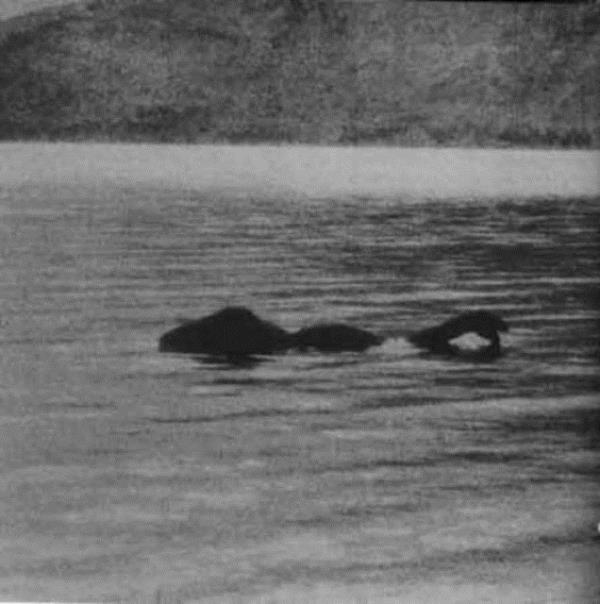 Loch Ness canavarnn modern yks ise 1934'te balar. Albay Robert Wilson bu tarihte Nessie'nin bir fotorafn ekmeyi baard. Loch Ness canavar bir Pleziozor (su dinozoru) olabilirdi. Ve bu "belge" zerine bilim dnyas konuyu aratrmaya, canavar aramaya balad.
