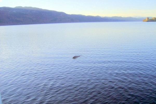 Loch Ness Canavar ya da Nessie olarak adlandrlan efsanevi yarata ait olduu sylenen fotoraflar sahte kt.