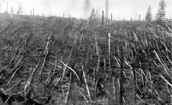 <p><b>Tunguska Patlamas</b></p>  Sibirya'nn Tunguska blgesinde 1908 ylnda meydana gelen byk patlamann sebebi hala zlemedi. Patlama o kadar iddetliydi ki, uzmanlar bu gc Hiroima'ya atlan atom bombasndan 2 binden fazlasnn ancak ortaya karabileceinde hemfikirler.