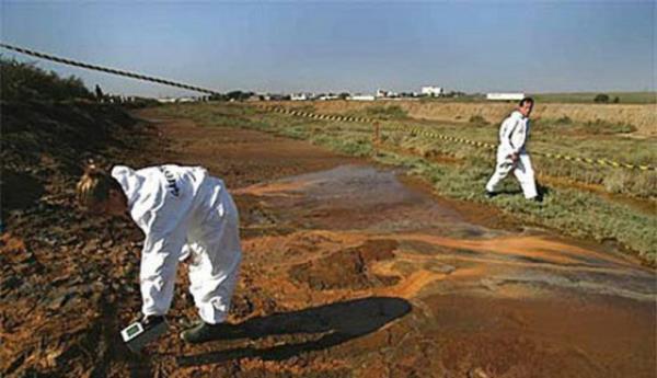 2011- Kuzey Yarmkreye Radyoaktif serpinti olacak. Hayvanlar ve bitkiler sa kalmayacak. Mslmanlar, hala hayatta kalm olan Avrupallara kar kimyasal sava balatacaklar...