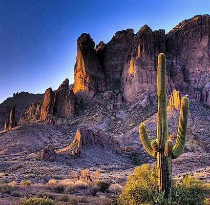 Arizona eyaletinde bir kakts kesmenin cezas 25 yla kadar hapis. Eeklerin kvette uyumasi yasak. Krmz bir maske ile ilenen hafif bir su "ar su" sayiliyor. Globe kentinde bir Kzlderili ile sokakta iskambil oynamak yasak. Hayden'da, tavanlar ve kurbaalar rahatsz edenler, para cezasna arptrlyor. Maricopa ilesinde bir evde 6'dan fazla kadn yaayamyor.