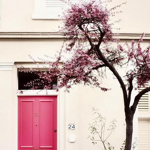 Kanada - Kanata'da pencereler ve kaplar pembe renkte olmak zorundadr.