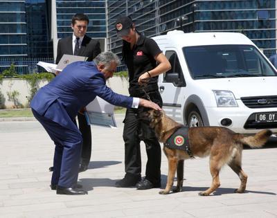 Hayvan bakcs (Lise)  1.576