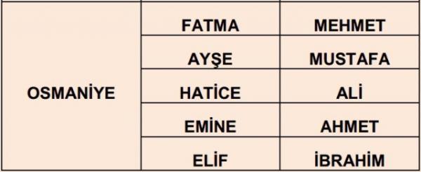 Nfus statistikleri Daire Bakanl 81 ilde ailelerin ocuklarna verdii ilk 5 isimi aklad. te illere gre kz ve erkek ocuklarna verilen isimler...