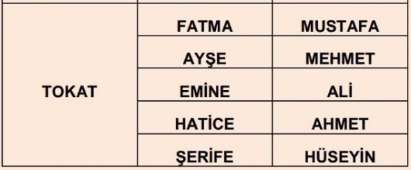 Nfus statistikleri Daire Bakanl 81 ilde ailelerin ocuklarna verdii ilk 5 isimi aklad. te illere gre kz ve erkek ocuklarna verilen isimler...