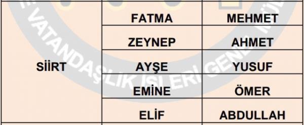 Nfus statistikleri Daire Bakanl 81 ilde ailelerin ocuklarna verdii ilk 5 isimi aklad. te illere gre kz ve erkek ocuklarna verilen isimler...