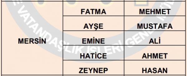 Nfus statistikleri Daire Bakanl 81 ilde ailelerin ocuklarna verdii ilk 5 isimi aklad. te illere gre kz ve erkek ocuklarna verilen isimler...