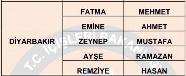 Nfus statistikleri Daire Bakanl 81 ilde ailelerin ocuklarna verdii ilk 5 isimi aklad. te illere gre kz ve erkek ocuklarna verilen isimler...