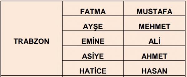 Nfus statistikleri Daire Bakanl 81 ilde ailelerin ocuklarna verdii ilk 5 isimi aklad. te illere gre kz ve erkek ocuklarna verilen isimler...