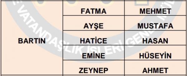 Nfus statistikleri Daire Bakanl 81 ilde ailelerin ocuklarna verdii ilk 5 isimi aklad. te illere gre kz ve erkek ocuklarna verilen isimler...