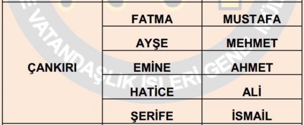 Nfus statistikleri Daire Bakanl 81 ilde ailelerin ocuklarna verdii ilk 5 isimi aklad. te illere gre kz ve erkek ocuklarna verilen isimler...