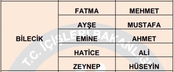 Nfus statistikleri Daire Bakanl 81 ilde ailelerin ocuklarna verdii ilk 5 isimi aklad. te illere gre kz ve erkek ocuklarna verilen isimler...