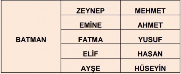Nfus statistikleri Daire Bakanl 81 ilde ailelerin ocuklarna verdii ilk 5 isimi aklad. te illere gre kz ve erkek ocuklarna verilen isimler...