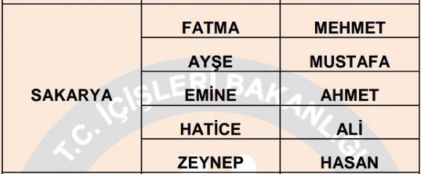 Nfus statistikleri Daire Bakanl 81 ilde ailelerin ocuklarna verdii ilk 5 isimi aklad. te illere gre kz ve erkek ocuklarna verilen isimler...