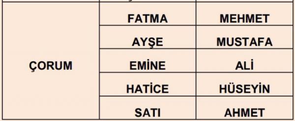 Nfus statistikleri Daire Bakanl 81 ilde ailelerin ocuklarna verdii ilk 5 isimi aklad. te illere gre kz ve erkek ocuklarna verilen isimler...
