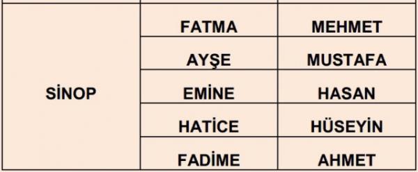 Nfus statistikleri Daire Bakanl 81 ilde ailelerin ocuklarna verdii ilk 5 isimi aklad. te illere gre kz ve erkek ocuklarna verilen isimler...