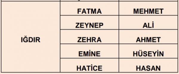 Nfus statistikleri Daire Bakanl 81 ilde ailelerin ocuklarna verdii ilk 5 isimi aklad. te illere gre kz ve erkek ocuklarna verilen isimler...