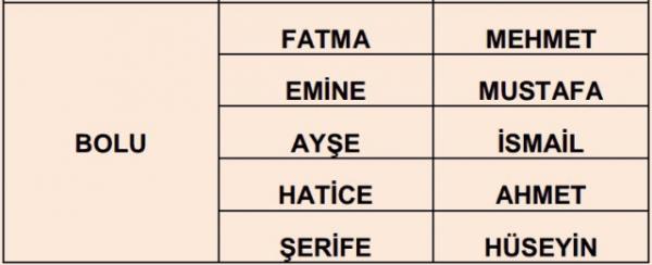 Nfus statistikleri Daire Bakanl 81 ilde ailelerin ocuklarna verdii ilk 5 isimi aklad. te illere gre kz ve erkek ocuklarna verilen isimler...