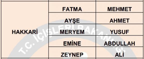 Nfus statistikleri Daire Bakanl 81 ilde ailelerin ocuklarna verdii ilk 5 isimi aklad. te illere gre kz ve erkek ocuklarna verilen isimler...