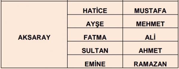 Nfus statistikleri Daire Bakanl 81 ilde ailelerin ocuklarna verdii ilk 5 isimi aklad. te illere gre kz ve erkek ocuklarna verilen isimler...