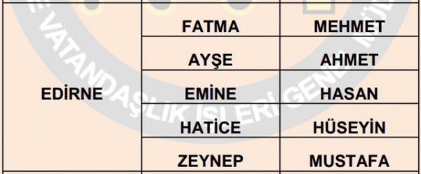 Nfus statistikleri Daire Bakanl 81 ilde ailelerin ocuklarna verdii ilk 5 isimi aklad. te illere gre kz ve erkek ocuklarna verilen isimler...