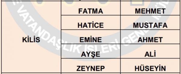 Nfus statistikleri Daire Bakanl 81 ilde ailelerin ocuklarna verdii ilk 5 isimi aklad. te illere gre kz ve erkek ocuklarna verilen isimler...