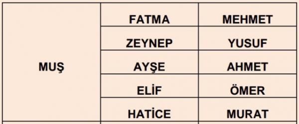 Nfus statistikleri Daire Bakanl 81 ilde ailelerin ocuklarna verdii ilk 5 isimi aklad. te illere gre kz ve erkek ocuklarna verilen isimler...