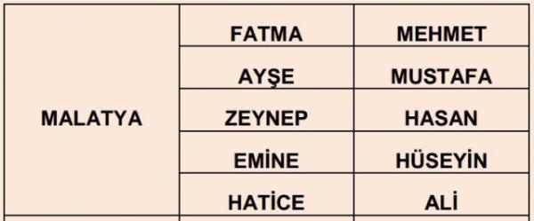 Nfus statistikleri Daire Bakanl 81 ilde ailelerin ocuklarna verdii ilk 5 isimi aklad. te illere gre kz ve erkek ocuklarna verilen isimler...